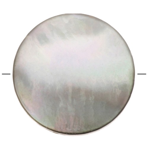Perle plate forme palet en nacre teintée 10 mm - Gris x1