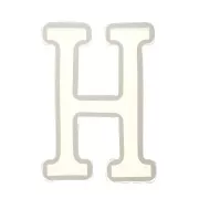 Moule silicone pour réaliser la lettre H en résine 40x26 mm x1