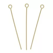 Clous tête ronde 28x0.55 mm - Gold filled (or laminé) x10