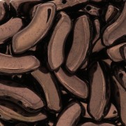 Perles en verre QuadBow Bead 6x15 mm - Dark Bronze x10