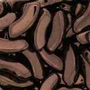 Perles en verre QuadBow Bead 6x15 mm - Dark Bronze x10