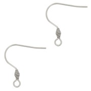 Crochets d'oreilles 21 mm avec anneau ouvert - Acier inoxydable 316L x2