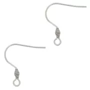 Crochets d'oreilles 21 mm avec anneau ouvert - Acier inoxydable 316L x2