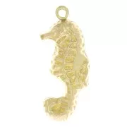 Pendentif hippocampe coté droit 18x8 mm - Gold filled (or laminé) x1