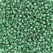Perles rocailles Preciosa 11/0 2 mm - Terra Métallique - Vert x20g