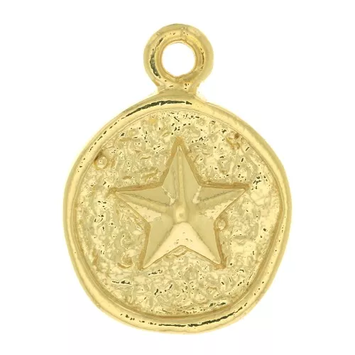 Breloque ronde irrégulière avec étoile de mer 17x13 mm - Plaqué or 3 microns x1
