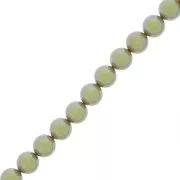 Perles rondes nacrées Preciosa - Round Pearl Maxima 5 mm - Pearlescent Khaki x25