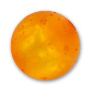 Perle ronde Polaris  polsweet 8 mm Topaz x1|raw }}