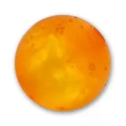 Perle ronde Polaris  polsweet 8 mm Topaz x1