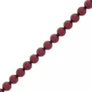 Perles rondes nacrées Preciosa - Round Pearl Maxima 5 mm - Bordeaux x25
