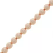Perles rondes nacrées Preciosa - Round Pearl Maxima 6 mm - Peach x20