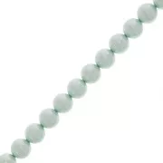 Perles rondes nacrées Preciosa - Round Pearl Maxima 8 mm - Light Blue x10