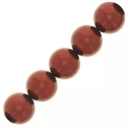 Perles rondes nacrées Preciosa - Round Pearl Maxima 10 mm - Dark Copper x5