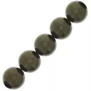 Perles rondes nacrées Preciosa - Round Pearl Maxima 10 mm - Dark Green x5