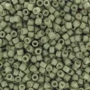 Miyuki Delica 11/0 DB1170 - Mat Galvanized Aleo x8g