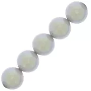 Perles rondes nacrées Preciosa - Round Pearl Maxima 10 mm - Pearlescent Grey x5