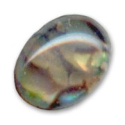 Cabochon Abalone  8x6 mm naturel x1|raw }}
