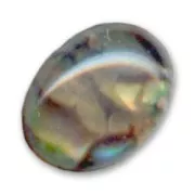 Cabochon Abalone 8x6 mm naturel x1