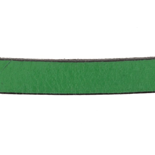 Lacet cuir 10 mm Vert sapin x30cm