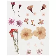 Assortiment fleurs séchées & pressées sur planche pour création DIY - Rose clair