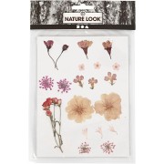 Assortiment fleurs séchées & pressées sur planche pour création DIY - Rose clair