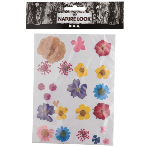 Assortiment fleurs séchées & pressées sur planche pour création DIY - Panaché