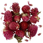 Assortiment de fleurs séchées - Trèfle rouge - Violet x15g|raw }}