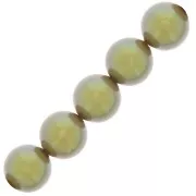 Perles rondes nacrées Preciosa - Round Pearl Maxima 8 mm - Pearlescent Khaki x10