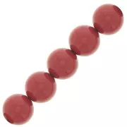 Perles rondes nacrées Preciosa - Round Pearl Maxima 4 mm - Cranberry x30