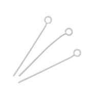 Clous tête ronde 30x0.8 mm - Acier inoxydable x10|raw }}