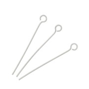 Clous tête ronde 30x0.7 mm - Acier inoxydable x10