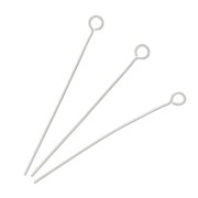 Clous tête ronde 35x0.6 mm - Acier inoxydable x10|raw }}