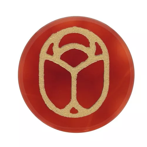 Cabochon rond plat 20 mm - scarabée gravé exclu Perles & Co - Cornaline - Doré x1