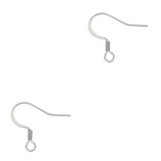 Crochets d'oreilles 17 mm en Acier inoxydable 304 x6
