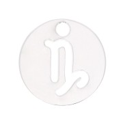Breloque ronde 10 mm - signe du zodiaque Capricorne - Argent 925 x1|raw }}