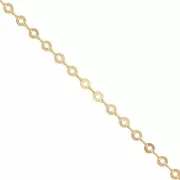Chaîne maille fantaisie avec cercles évidés 6.1 mm - Doré x50cm