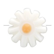 Perle fleur marguerite 10 mm en nacre - Blanc - Orange x1