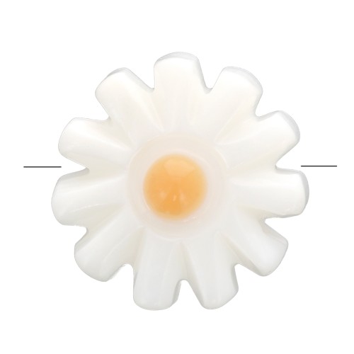 Perle fleur marguerite 10 mm en nacre - Blanc - Orange x1