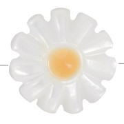Perle fleur marguerite 12 mm en nacre - Blanc - Orange x1
