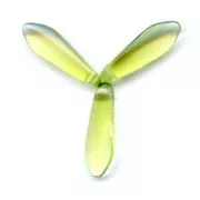 Dagues en verre 5x16 mm Olivine x50