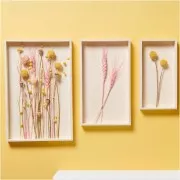 Lin séché jaune pour composition florale x1 tige