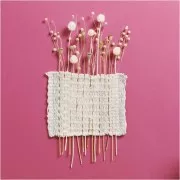 Cardères japonaises séchées - naturel - pour composition florale x5 tiges