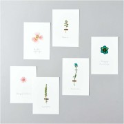 Assortiment fleurs séchées & pressées sur planche - Mix Orange - Turquoise