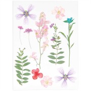 Assortiment fleurs séchées & pressées sur planche - Mix Rose - Violet|raw }}