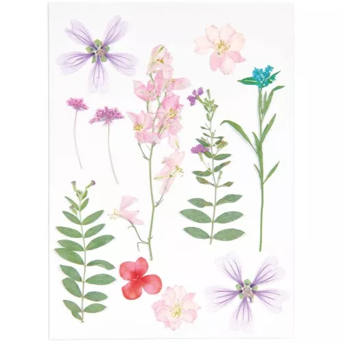Assortiment fleurs séchées & pressées sur planche - Mix Rose - Violet
