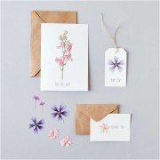 Assortiment fleurs séchées & pressées sur planche - Mix Rose - Violet