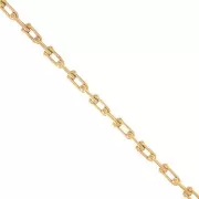 Chaîne maille Fantaisie 8 mm en Acier inoxydable 304 Doré x50cm