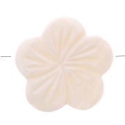 Perles en nacre - forme fleur 21 mm x5|raw }}