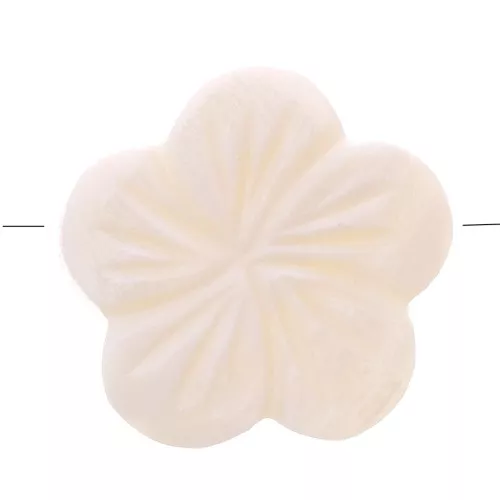 Perles en nacre - forme fleur 21 mm x5