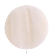 Perles plates en nacre - forme palet 25 mm x2|raw }}